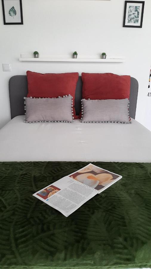 Love' In Aveiro Apartments - Blanc ภายนอก รูปภาพ
